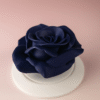 Mini Rosa Atemporal