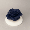 Mini Rosa Atemporal